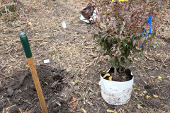 488C5A25-0FED-4BBB-898D-071FF14AE000