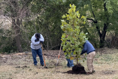 558A4E14-3C25-405C-8D26-25FD9D02F9E7