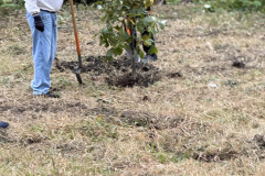 B936988F-4EE6-4CF4-BA2D-C0B5A67259A2