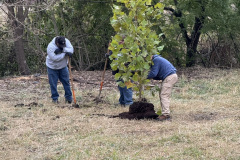 FA0DB971-9176-4269-8B6C-BA9E39D87176