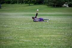 NationalBeepBaseballAssociation3