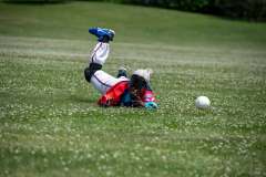 NationalBeepBaseballAssociation6